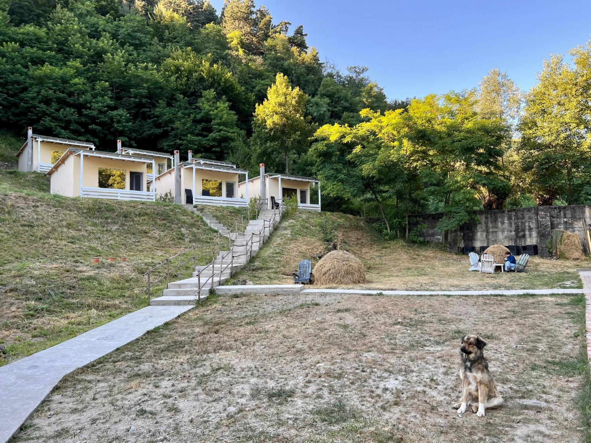 Bungalow Casa Corbilor Apartment Stanesti (Arges)