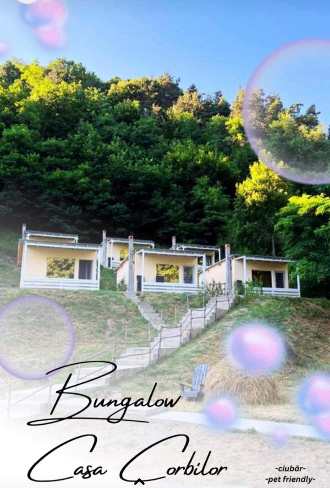 Bungalow Casa Corbilor Apartment Stanesti (Arges)